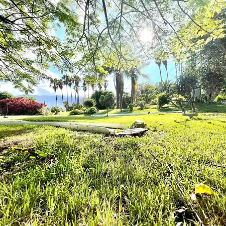 Estudio Superior, Wifi, Pool, Tropical Jardin En Puero De La Cruz Puerto de la Cruz (Tenerife)