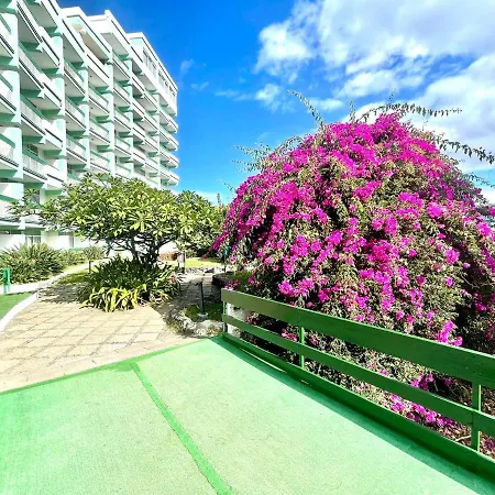 Estudio Superior, Wifi, Pool, Tropical Jardin En Puero De La Cruz Appartement *