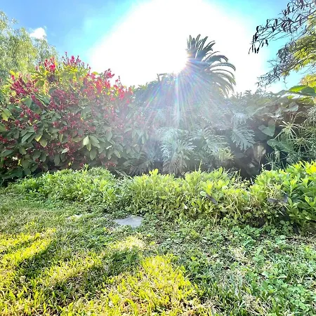 Appartement Estudio Superior, Wifi, Pool, Tropical Jardin En Puero De La Cruz Puerto de la Cruz (Tenerife)