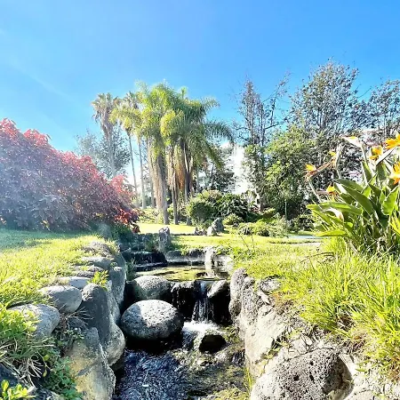 Appartement Estudio Superior, Wifi, Pool, Tropical Jardin En Puero De La Cruz Puerto de la Cruz (Tenerife)
