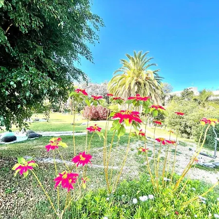 Estudio Superior, Wifi, Pool, Tropical Jardin En Puero De La Cruz