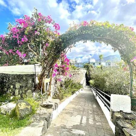 Estudio Superior, Wifi, Pool, Tropical Jardin En Puero De La Cruz * Puerto de la Cruz (Tenerife)