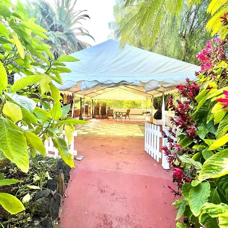 Estudio Superior, Wifi, Pool, Tropical Jardin En Puero De La Cruz Puerto de la Cruz (Tenerife)