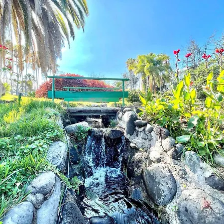 Appartement Estudio Superior, Wifi, Pool, Tropical Jardin En Puero De La Cruz